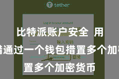 比特派账户安全  用户不错通过一个钱包措置多个加密货币