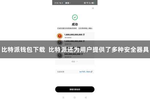 比特派钱包下载  比特派还为用户提供了多种安全器具