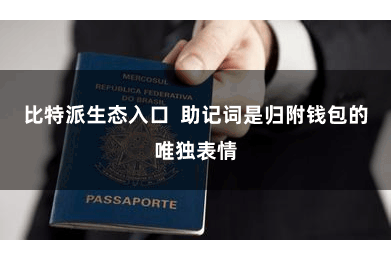 比特派生态入口 助记词是归附钱包的唯独表情